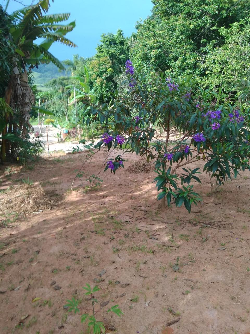 Sitio Vale Das Montanhas São Tomé das Letras 外观 照片
